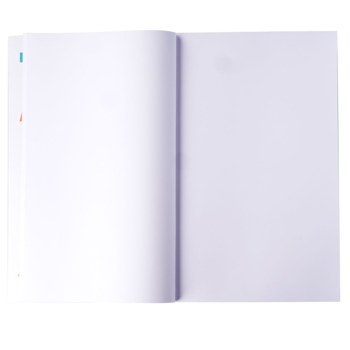 Apsara Regular Size Longbook | Unruled | Assorted | 27 Cm x 17 Cm | Pages 172