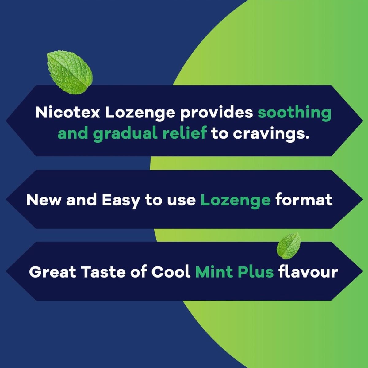 Nicotex Big Lozenges Mint Plus 2MG 10 pc Combo