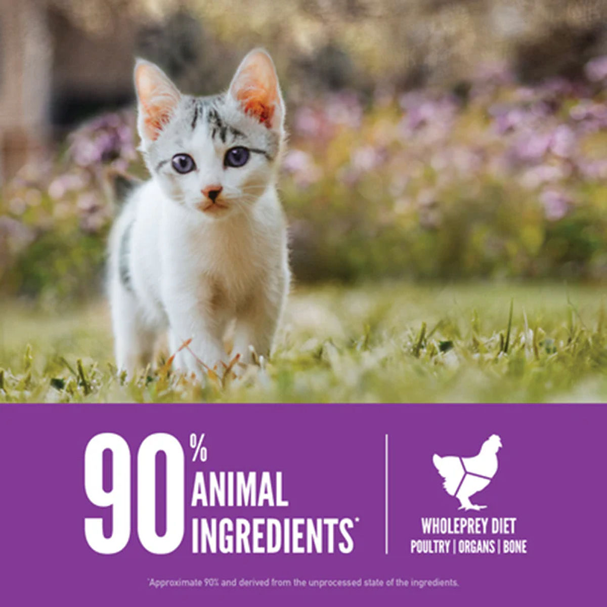 Orijen Original Kitten Food