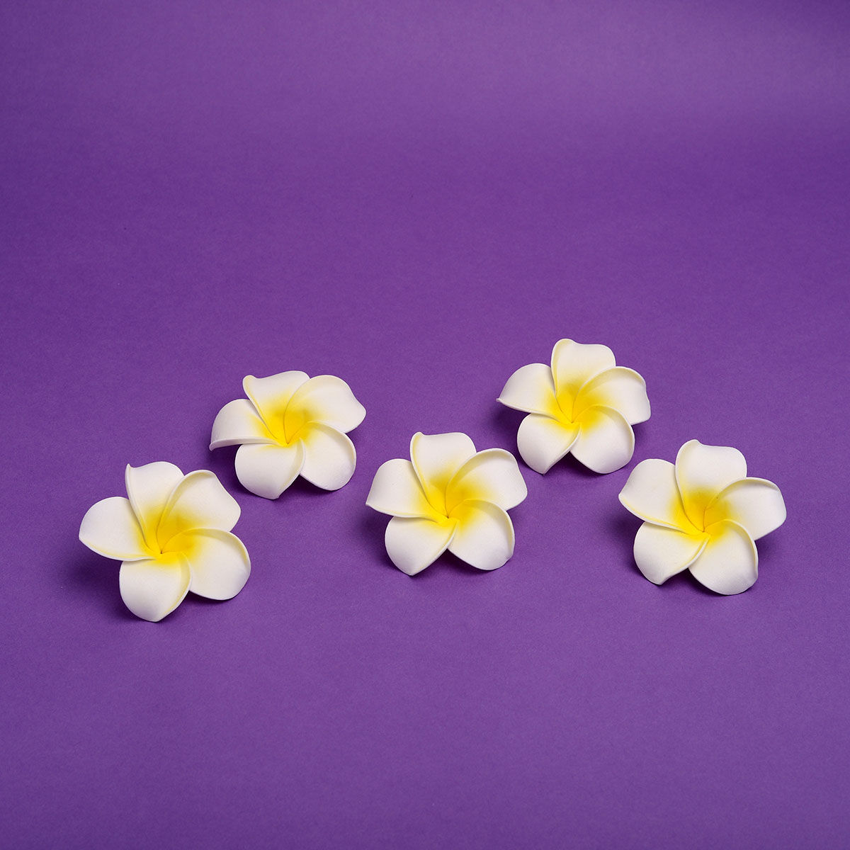 Gullak Floating Frangipani Flower