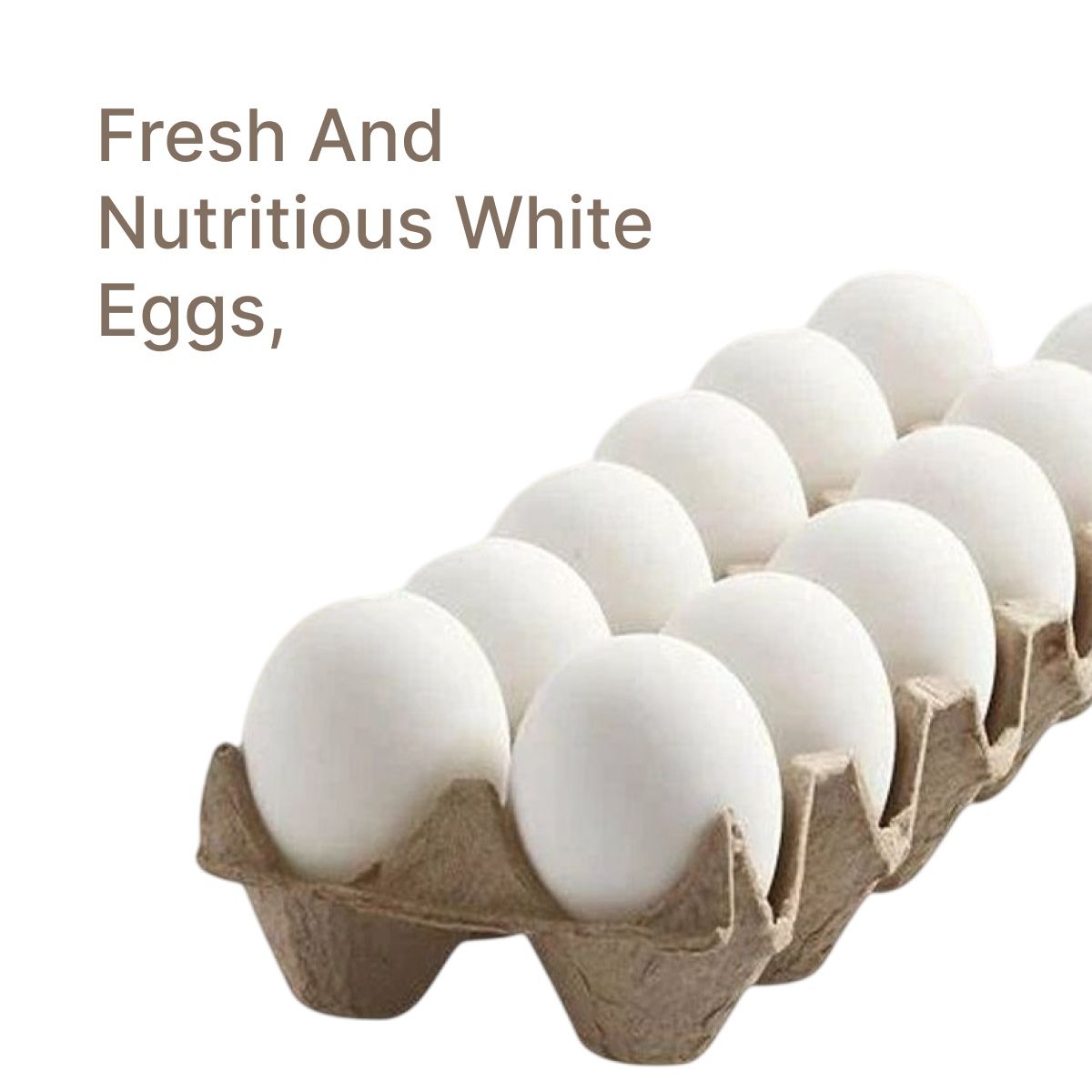 K K White Egg
