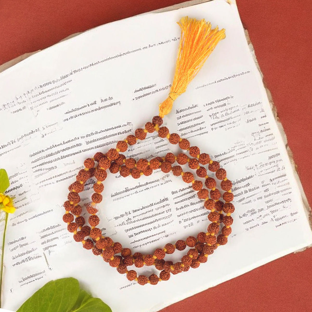 Jai Kashi Rudraksh Mala