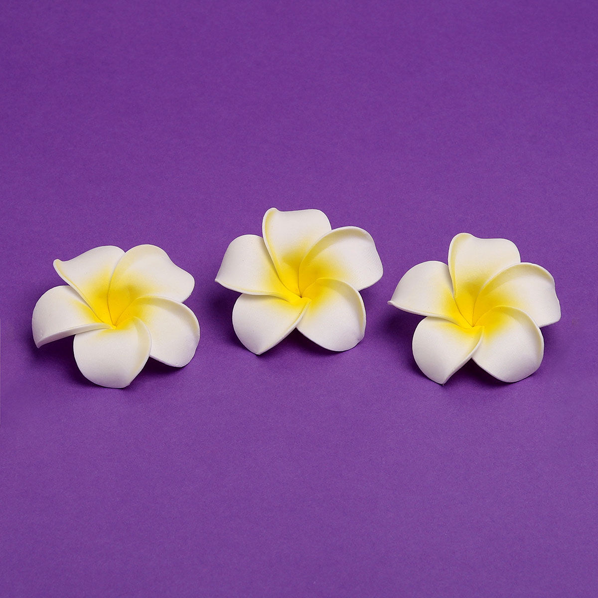 Gullak Floating Frangipani Flower