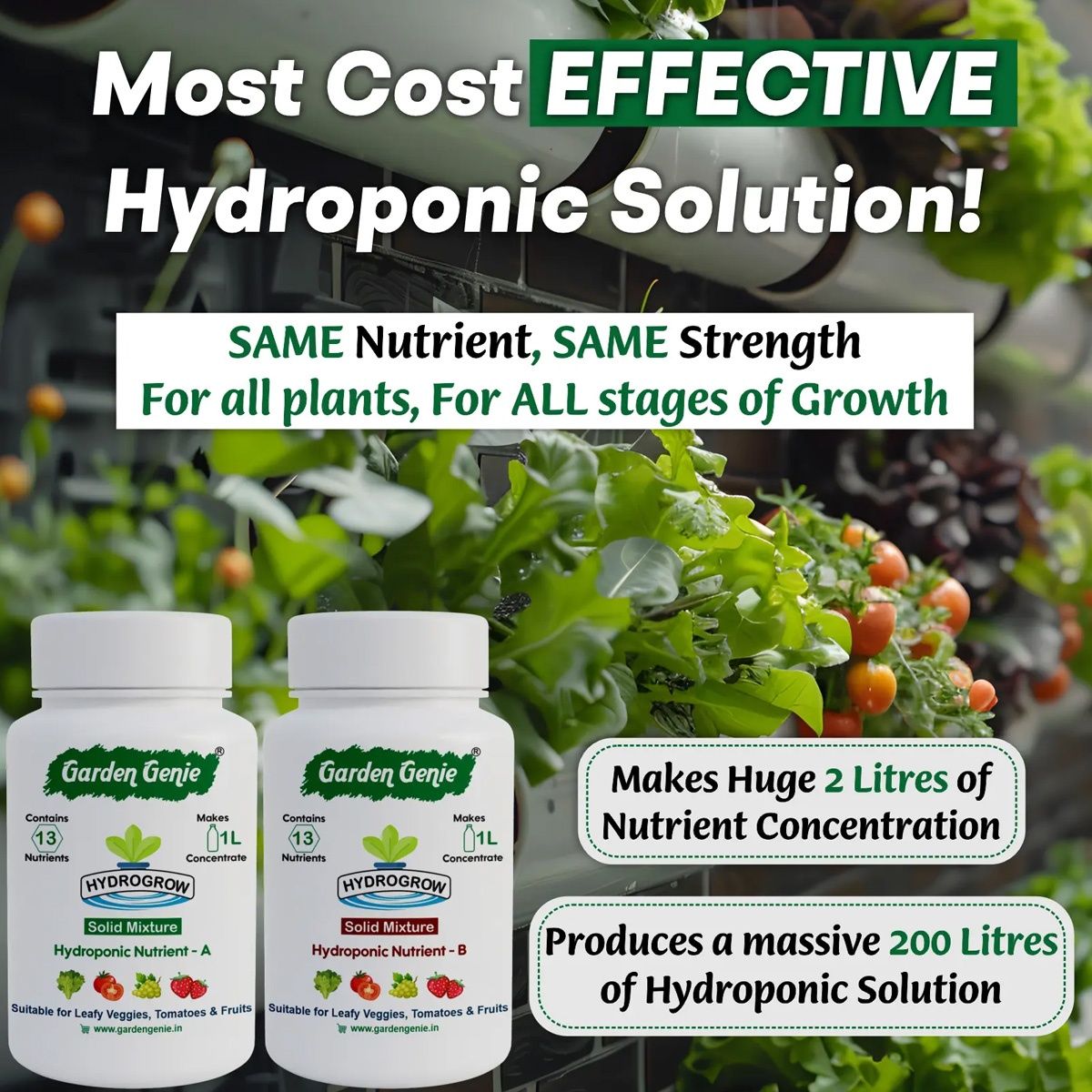 Hydroponic Solid Mixture A & B | Contains NPK for nurturing plants | Makes 200 Ltr fertiliser