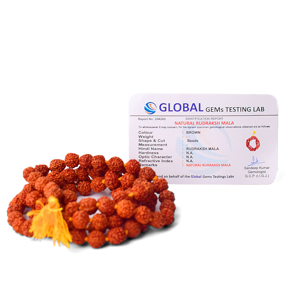 Jai Kashi Rudraksh Mala