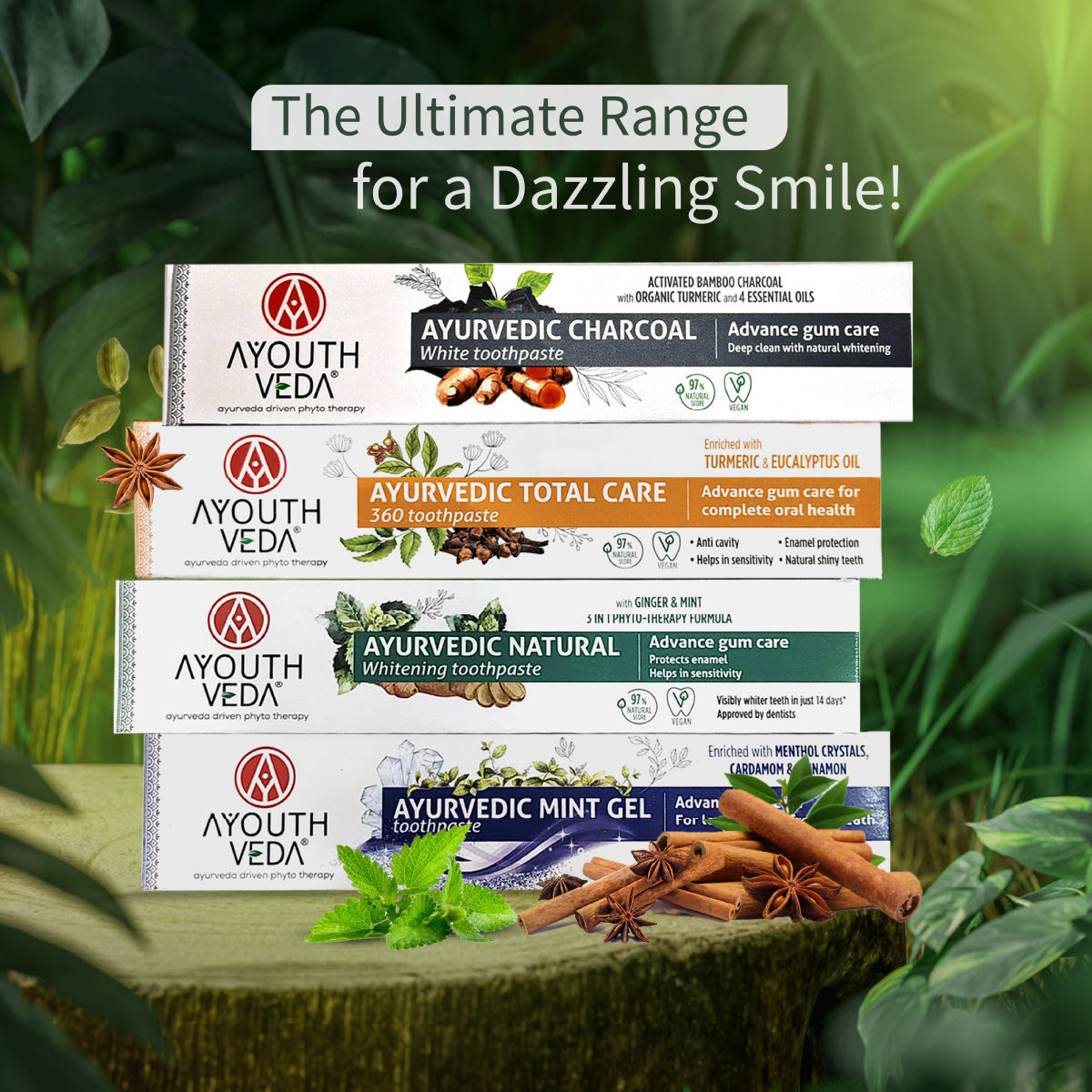 Aimil Ayouthveda Natural Whitening Toothpaste