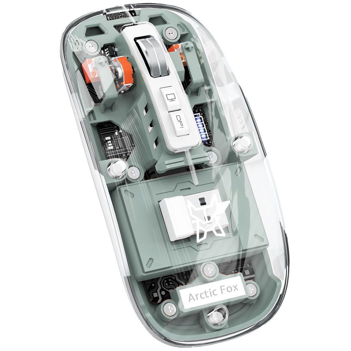 Arctic Fox Pureview Transparent Wireless And Bluetooth Rechargeable Mouse(Paste Green)