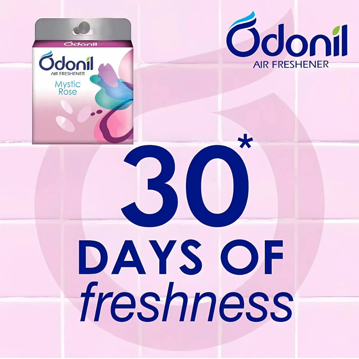 Odonil Blocks 48g Mix (Pack of 4) 192 g Combo