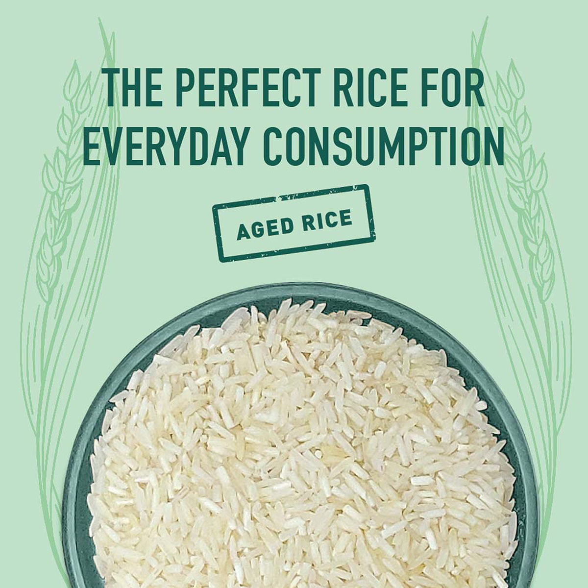 India Gate Regular Choice Basmati Rice | Medium Grain 1 kg Combo