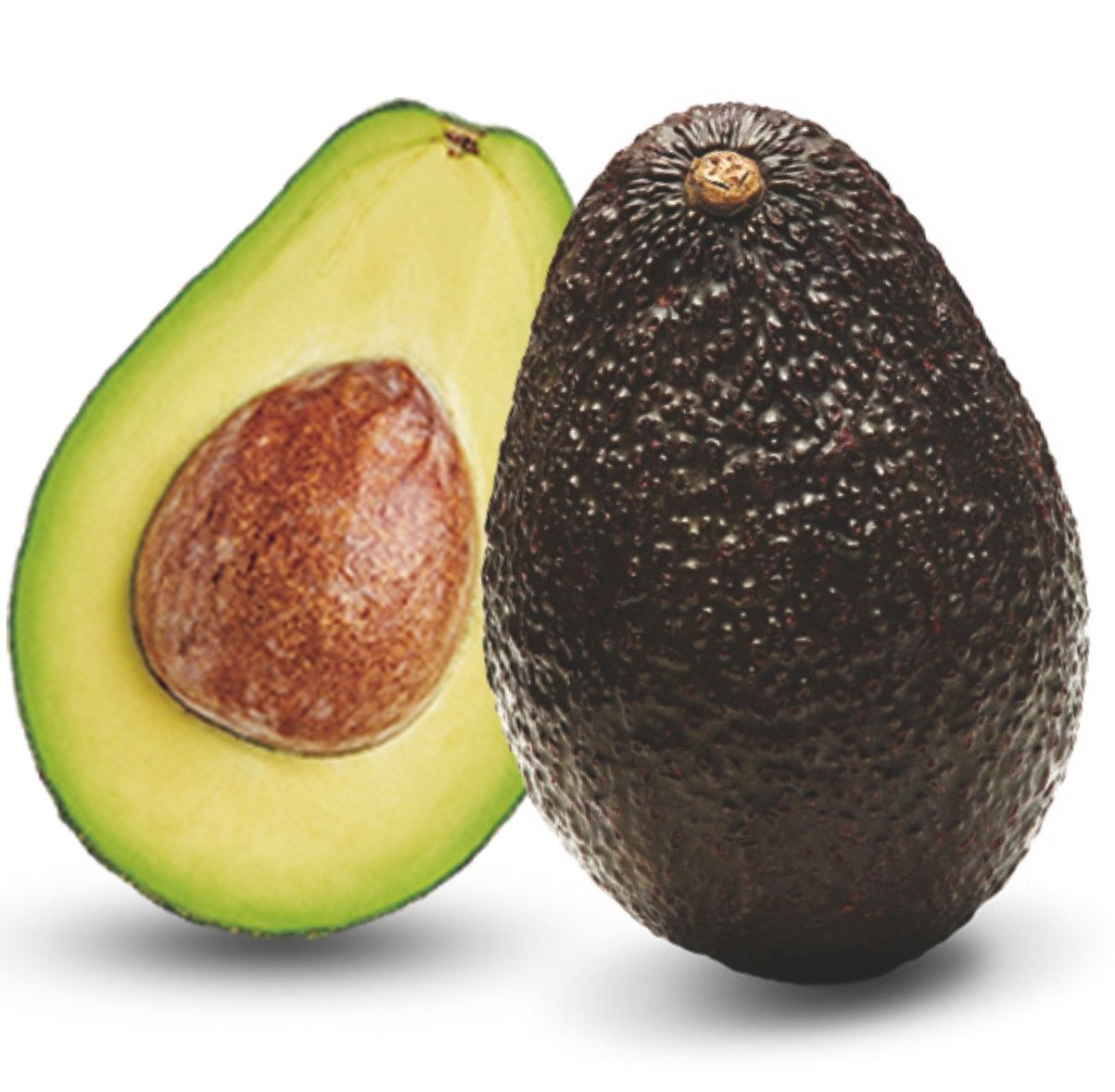 Australian Avocado