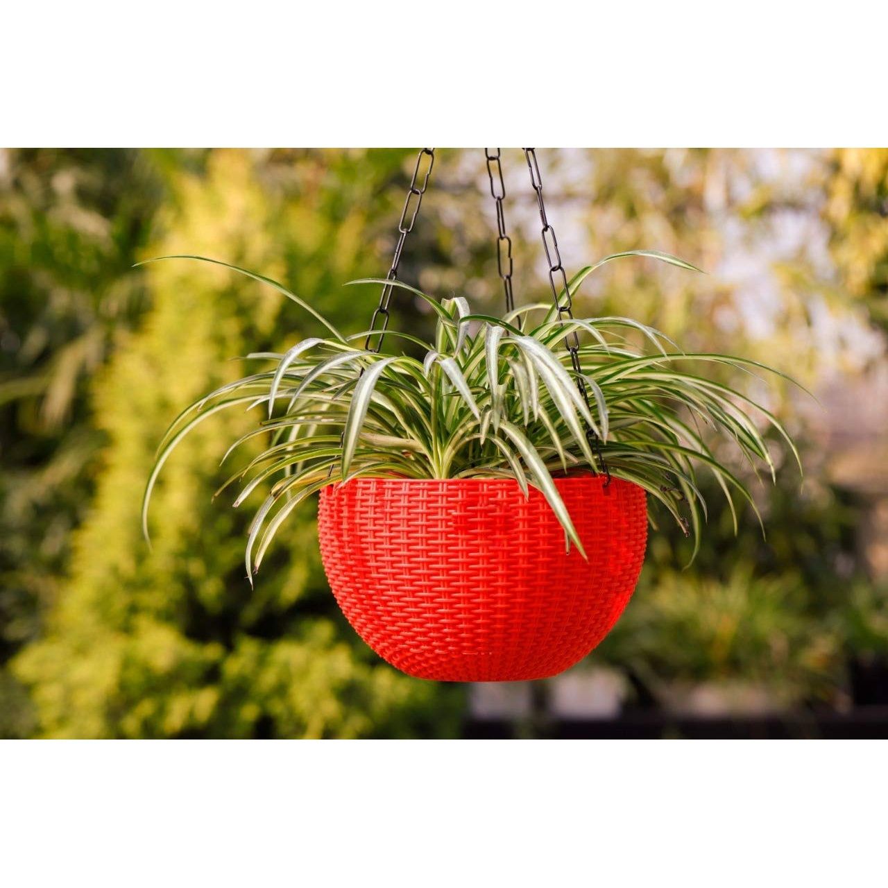 Go Hooked Plastic Multicolor Hanging Pot | Round with Chain Hanging | Set Of 5