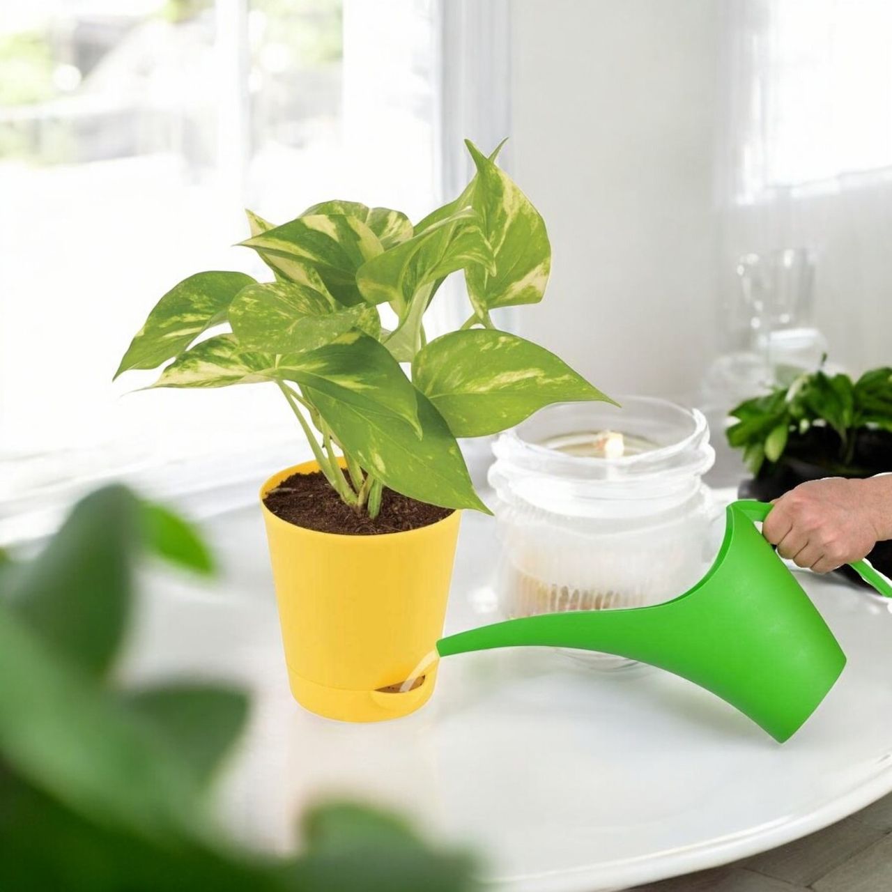 Go Hooked Self Watering Pots For Plants - 4 Inch | Round | Set Of 5