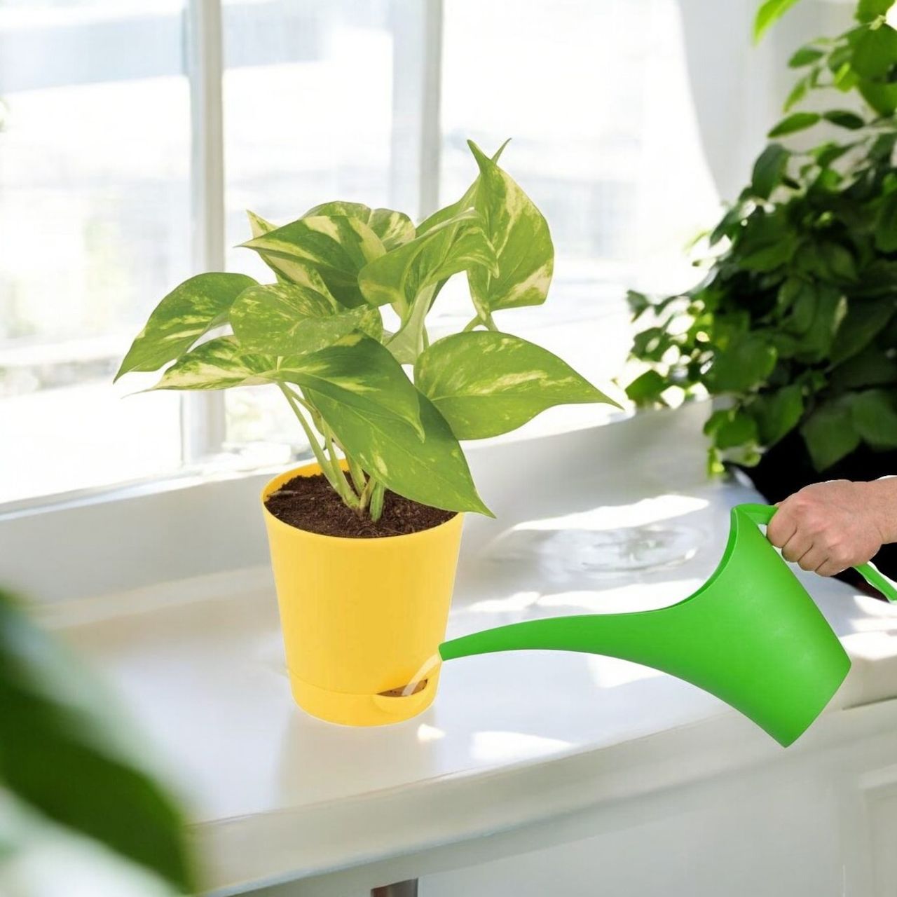 Go Hooked Self Watering Pots For Plants - 4 Inch | Round | Set Of 5