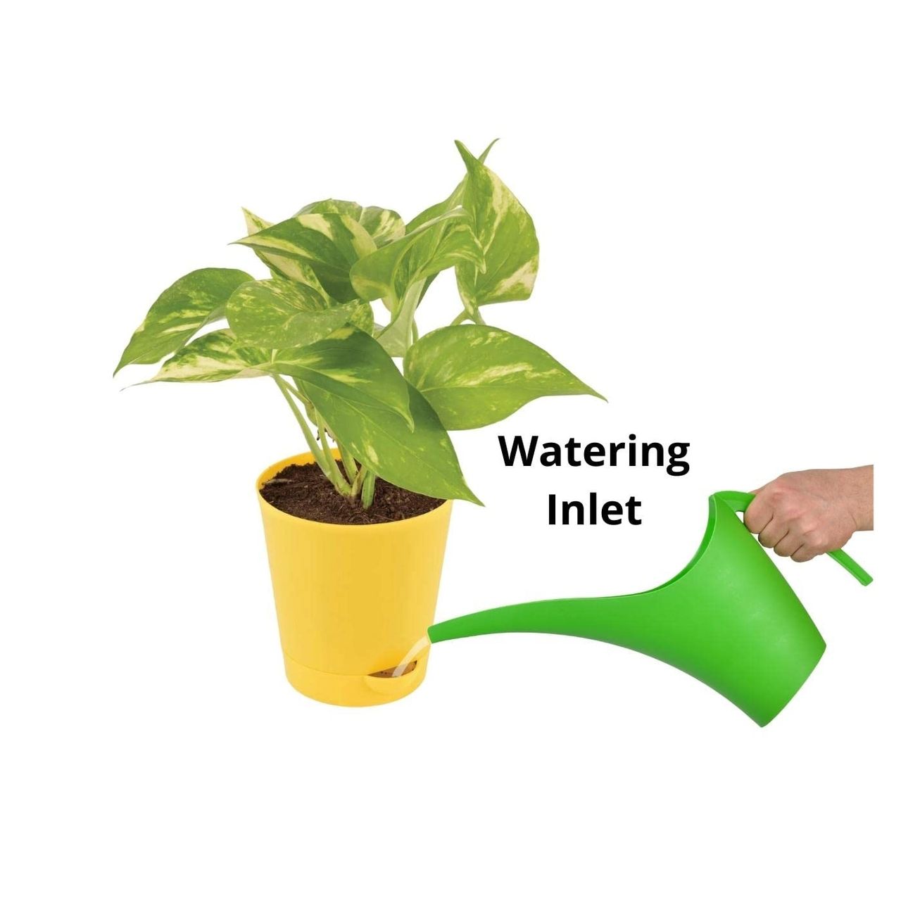 Go Hooked Self Watering Pots For Plants - 4 Inch | Round | Set Of 5