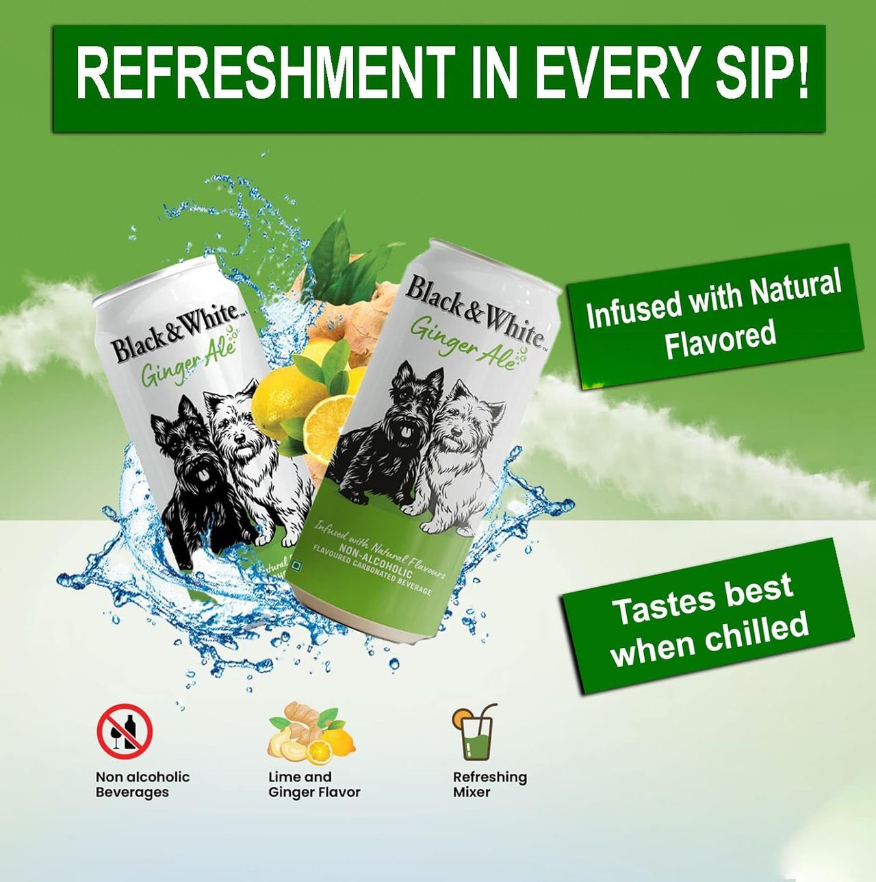 Black & White Ginger Ale Can 330 ml Combo