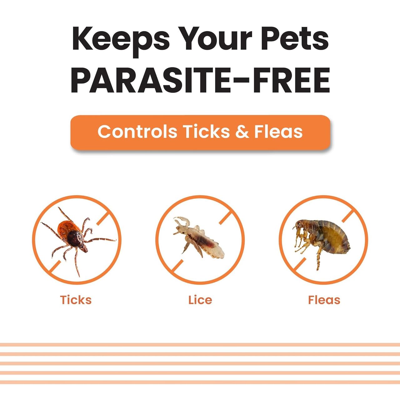 Vivaldis VI-FI Forte Spot On 0.67 ml | Fleas, Ticks & Lice | Fipronil for dogs & puppy upto 10 kgs
