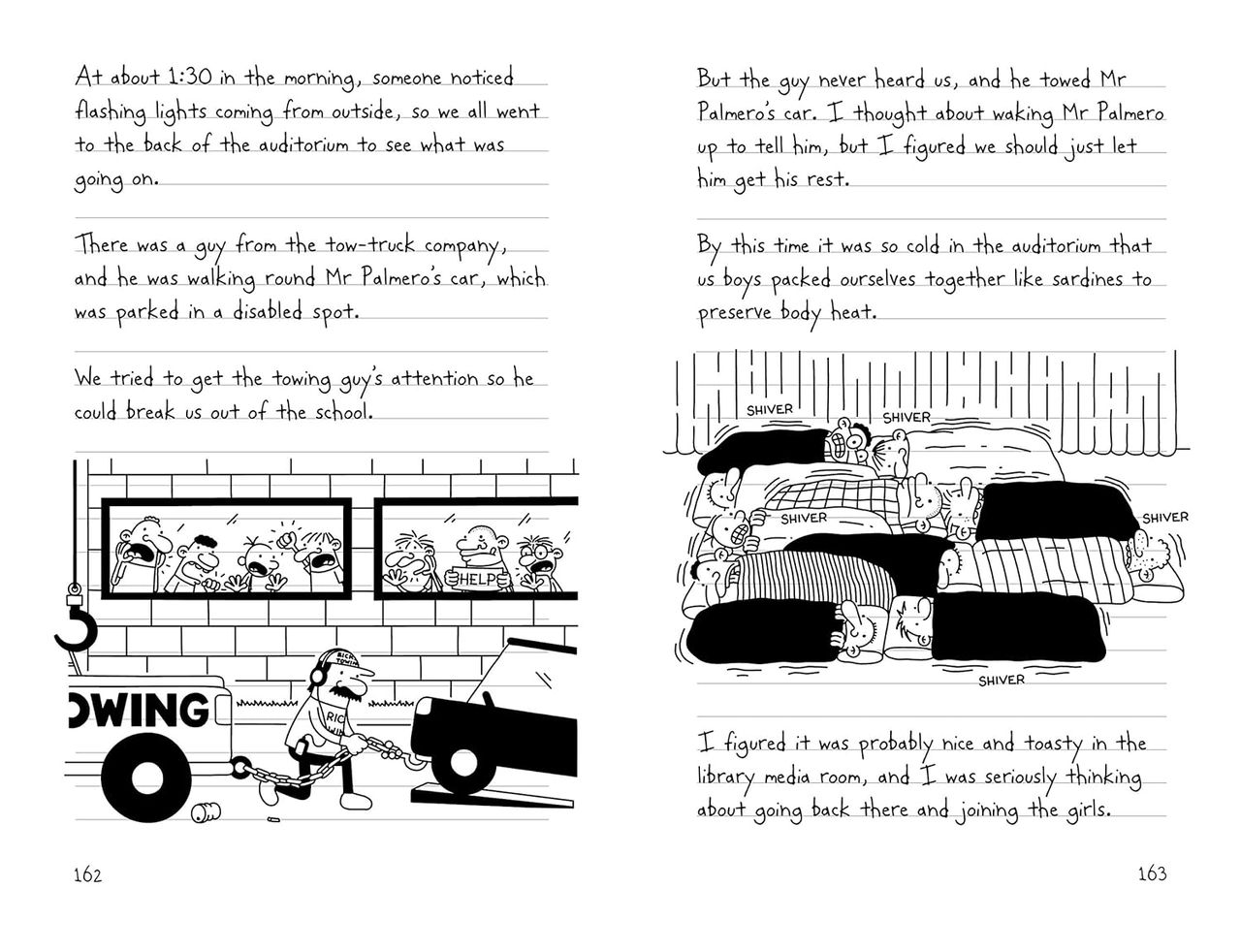 Diary Of A Wimpy Kid 5 The Ugly Truth