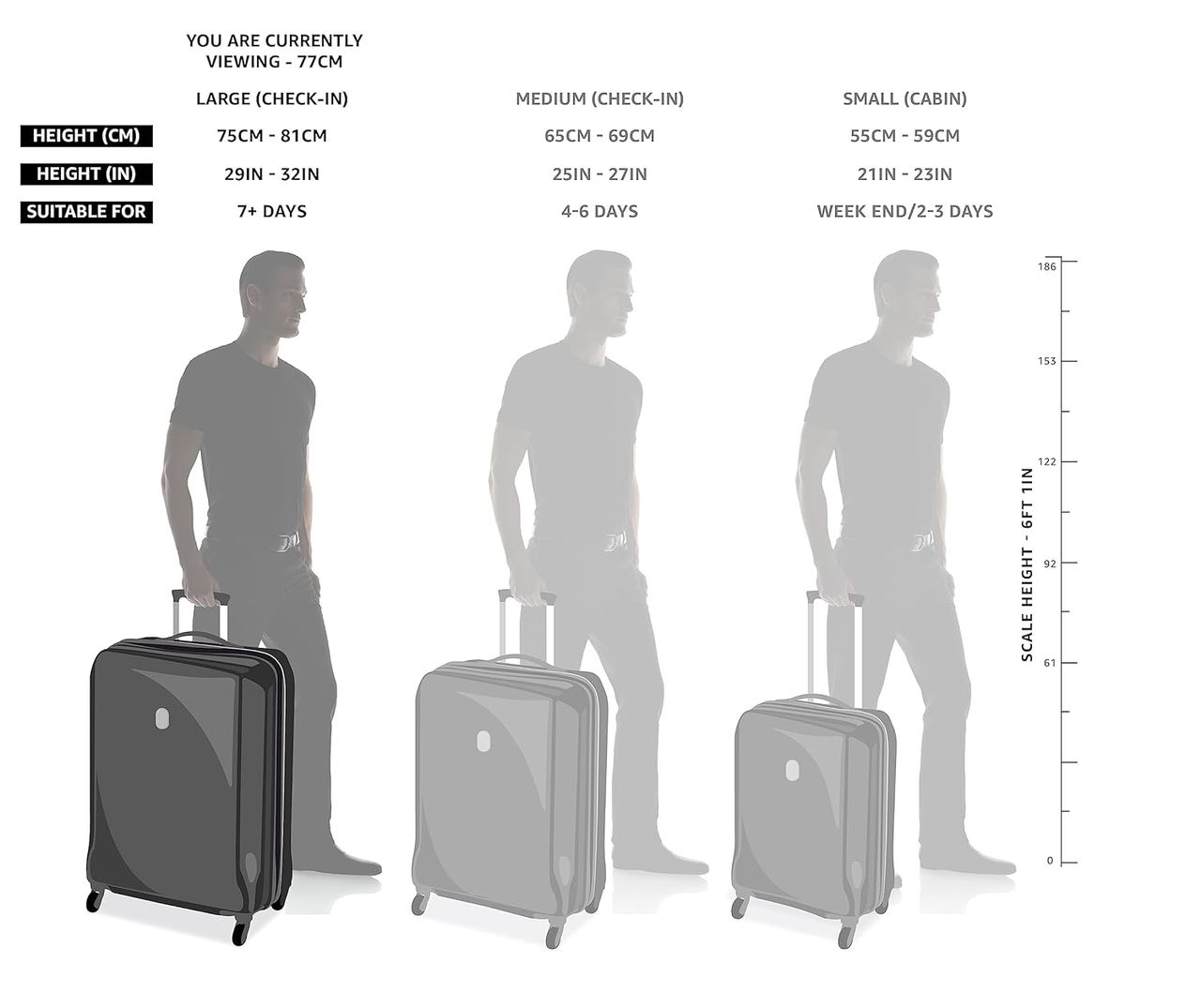 Safari Polycarbonate 65 L Telescopic Trolley Bag | Multicolour - L