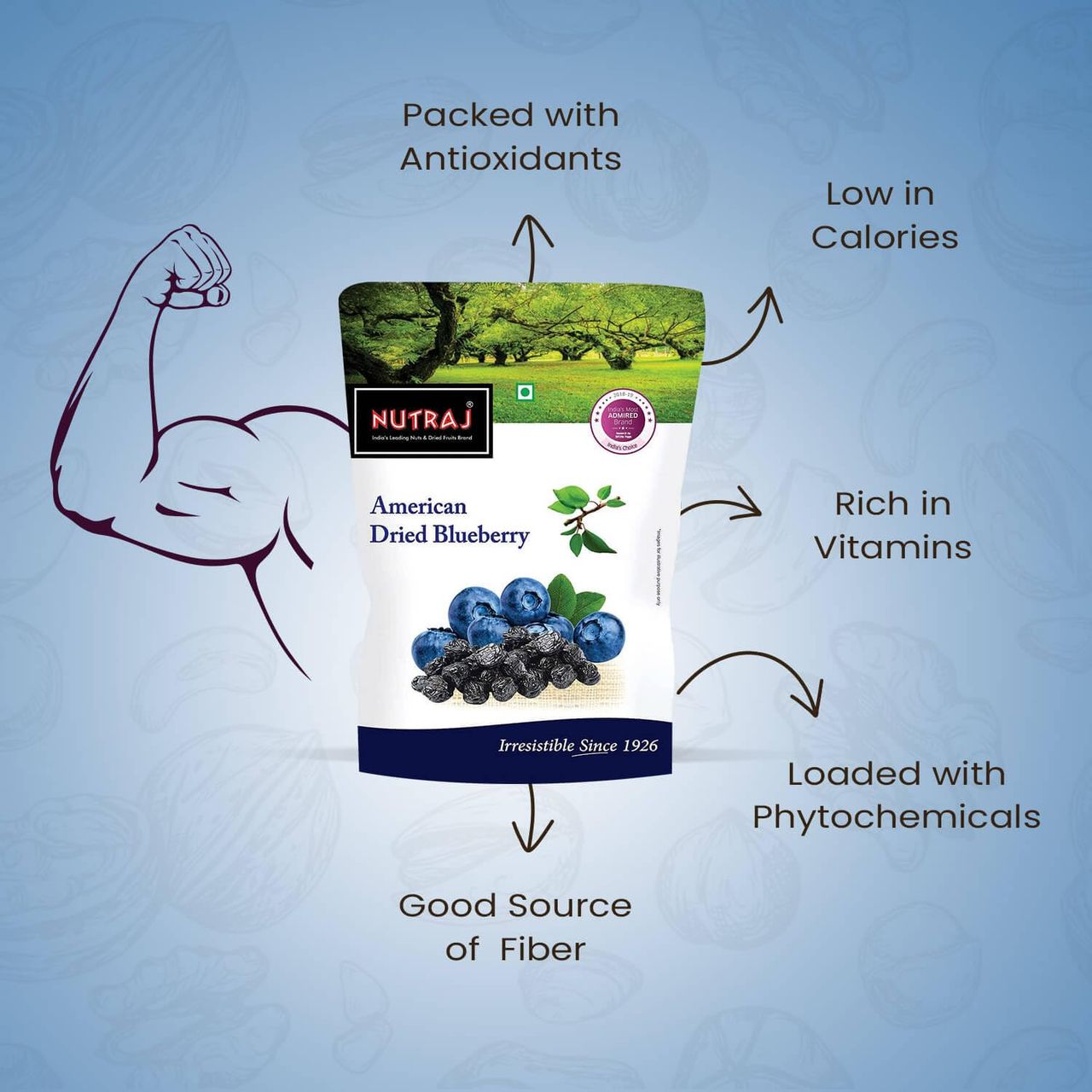 Nutraj American Dried Blueberries