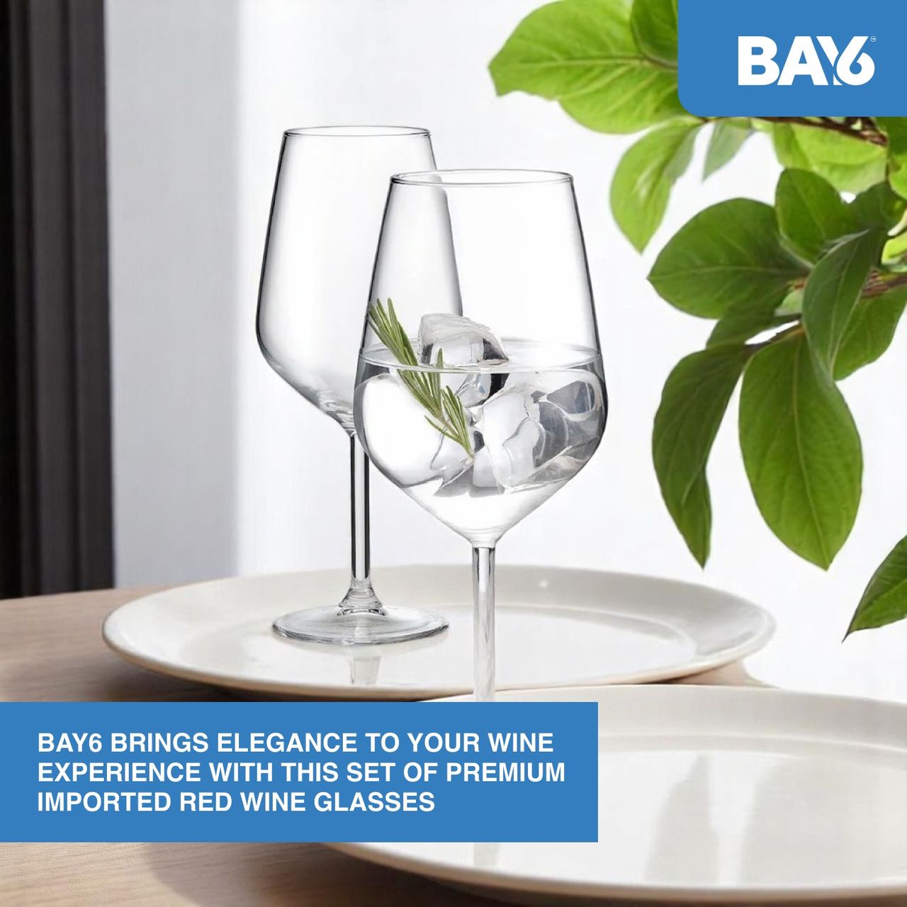 BAY6 Imported Red Wine Glass Set -490 ml -(2pc)