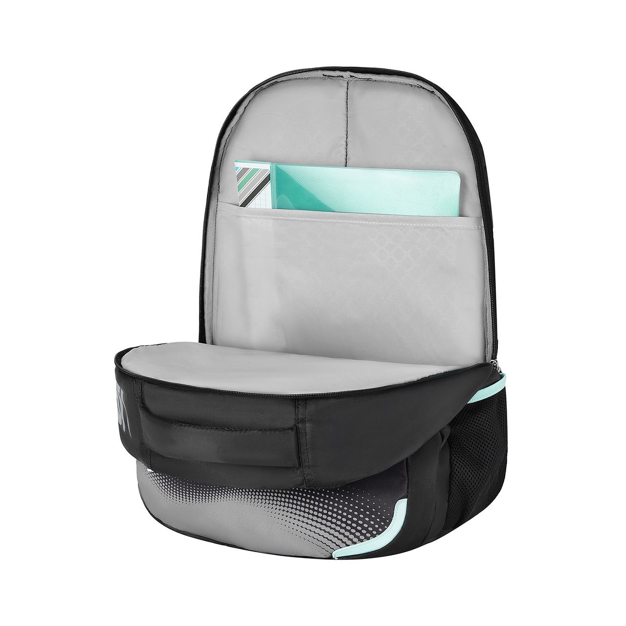 Safari Unisex Polyester 43 L Backpack | Black