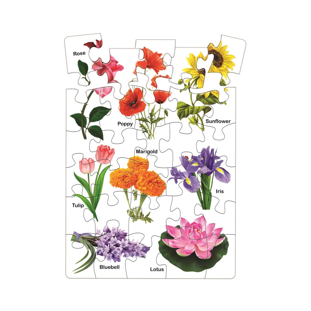 Ratna's Knowledge Bank Jigsaw-Ii