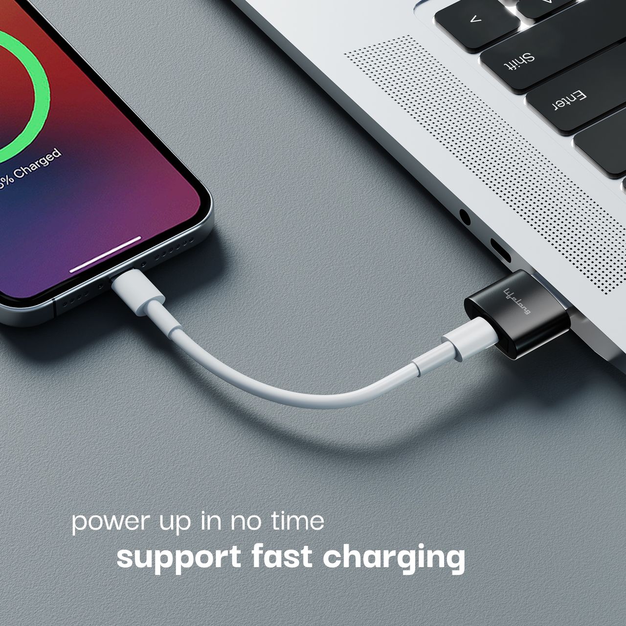 Lifelong OTG Connector USB Type C to Type A | For MacBook and All Type-C Devices | LLOTGC10