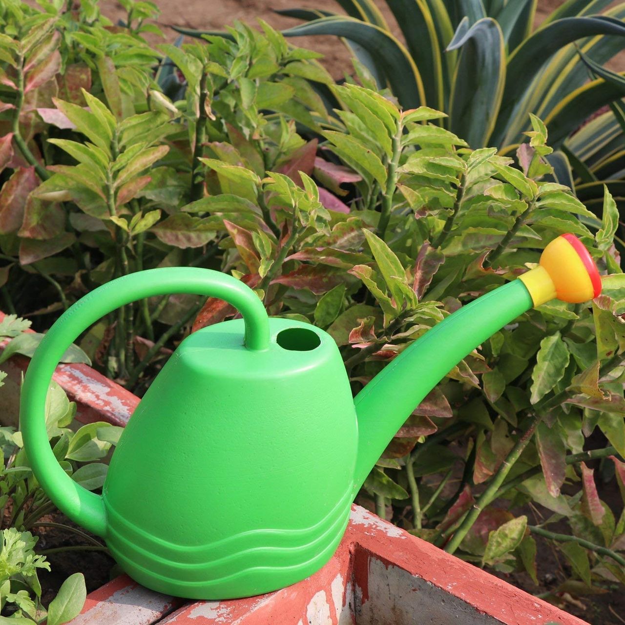 Go Hooked Plastic Plants Watering Can | Watering Can For House Plants