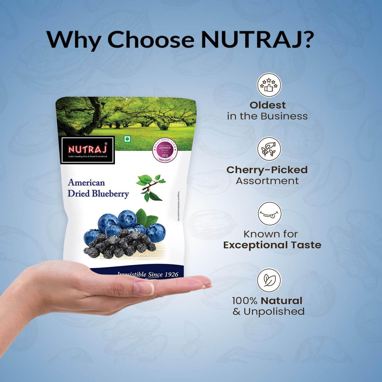 Nutraj American Dried Blueberries