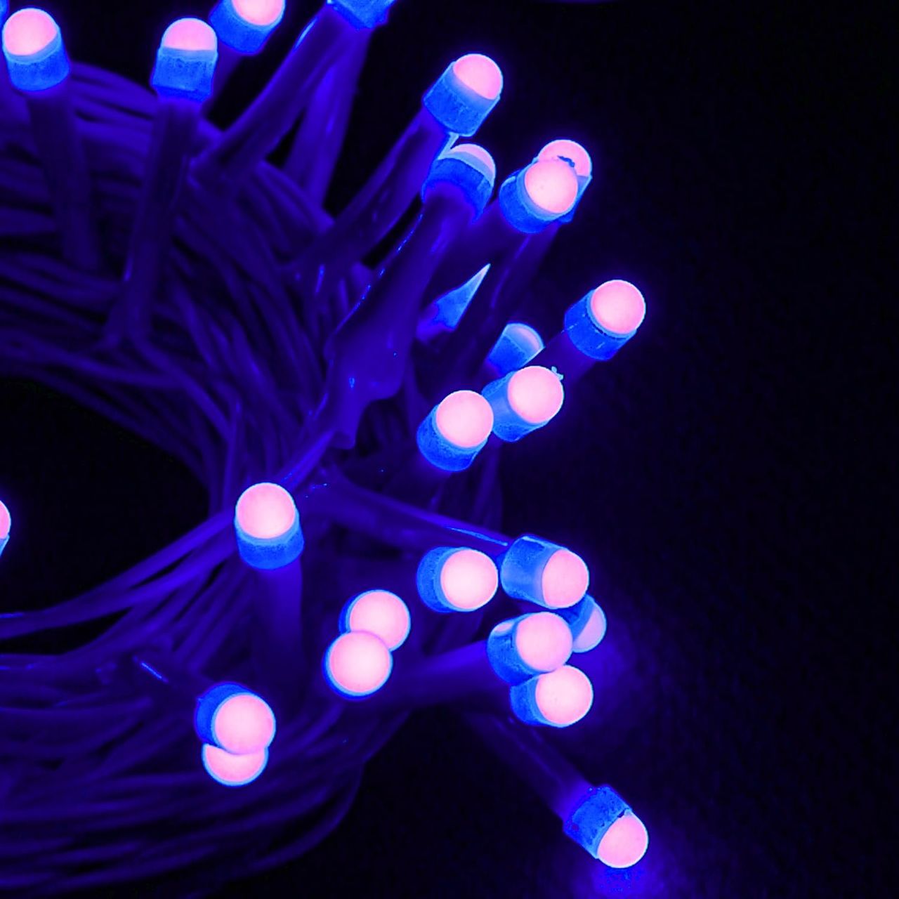 Lexton 36 Feet Long 40 LED Power Pixel Serial String/Fairy Light | Plug Sourced|Pack of 1 Blue