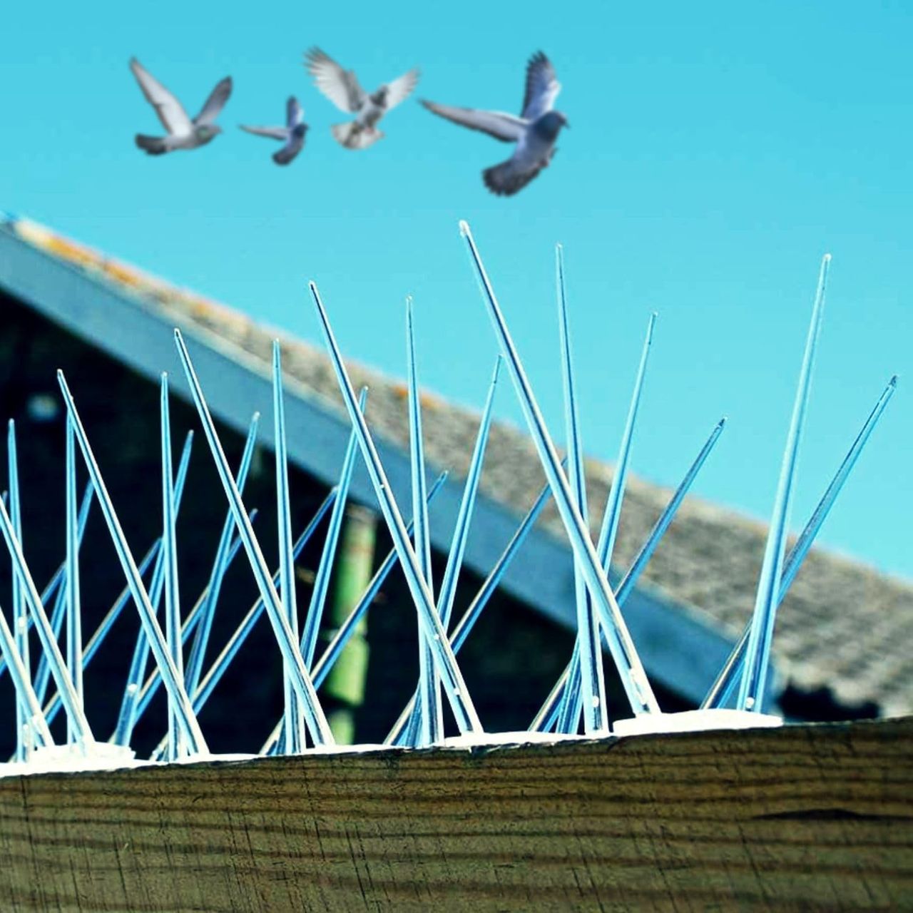 Mr. Right Pigeon Spikes for Balconies