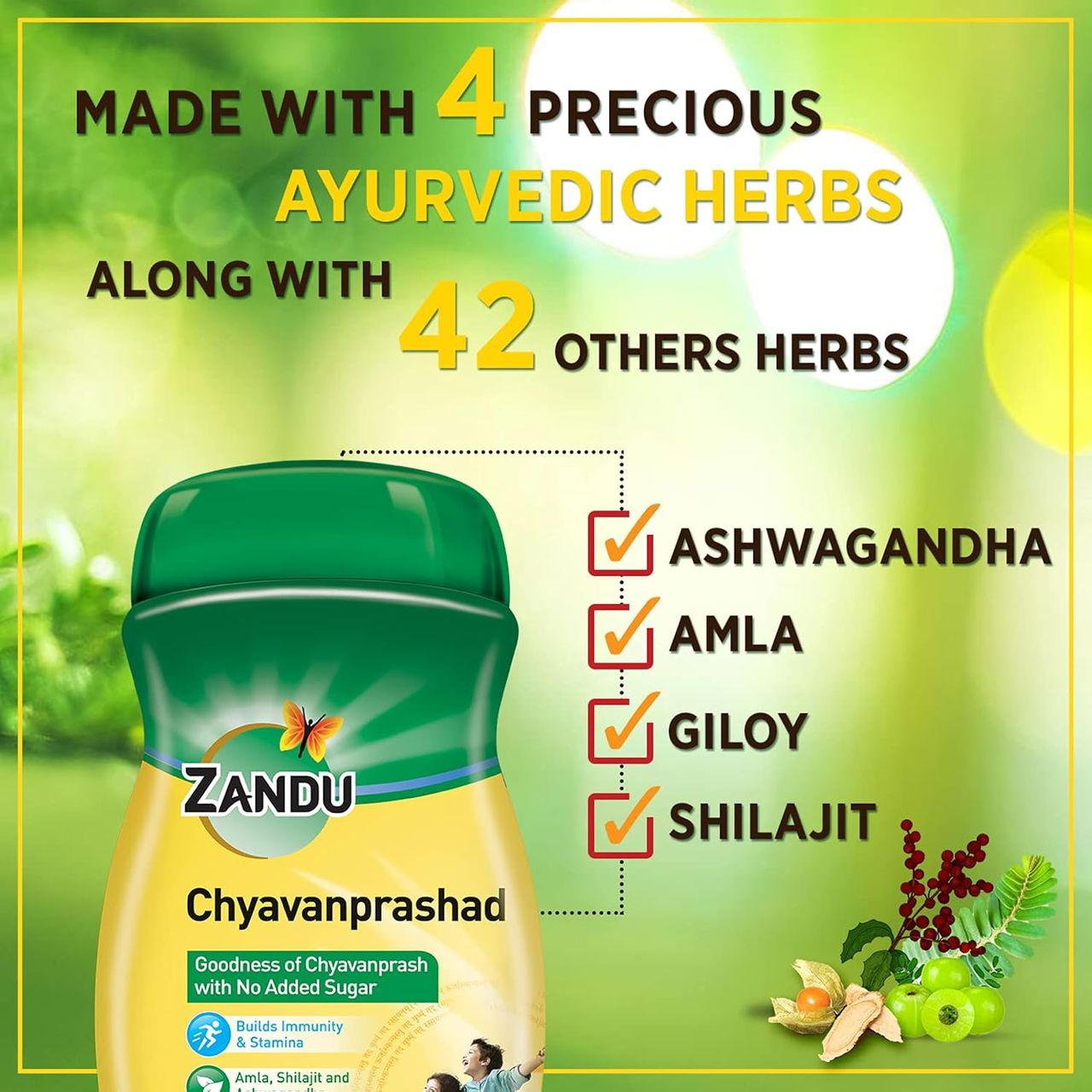 Zandu Chavanprashad with Amla, Ashwagandha & Shilajit Sugarfree