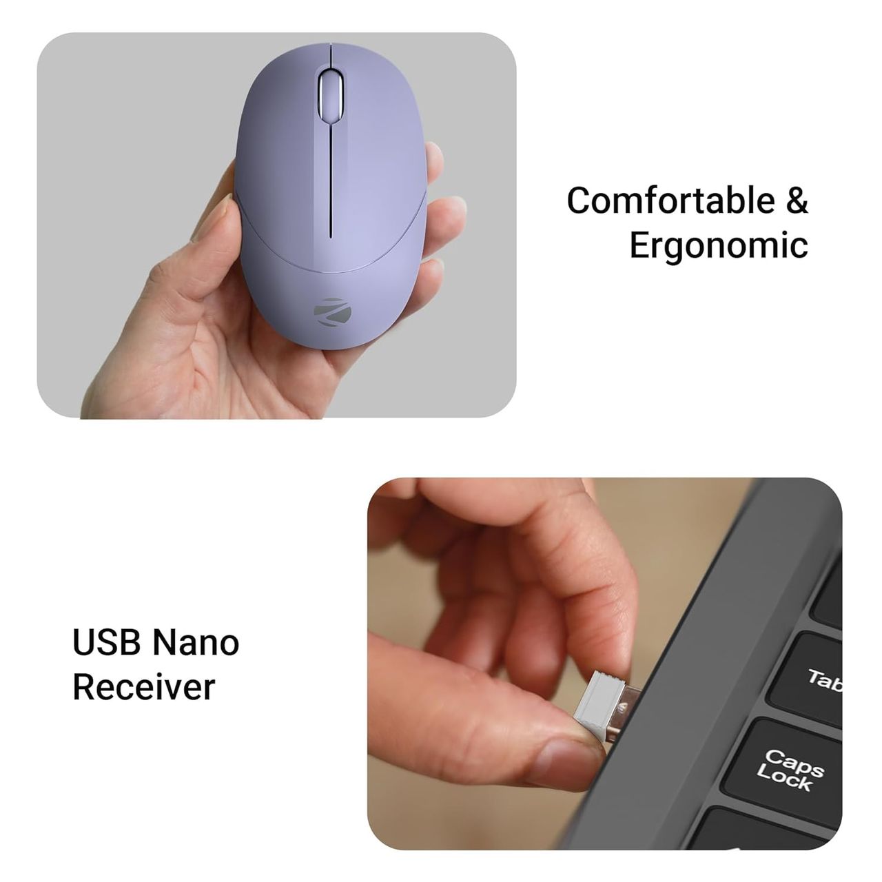 Zebronics Panther | Wireless Mouse | 1600 Dpi | Silent Operation | 3 Buttons | Purple