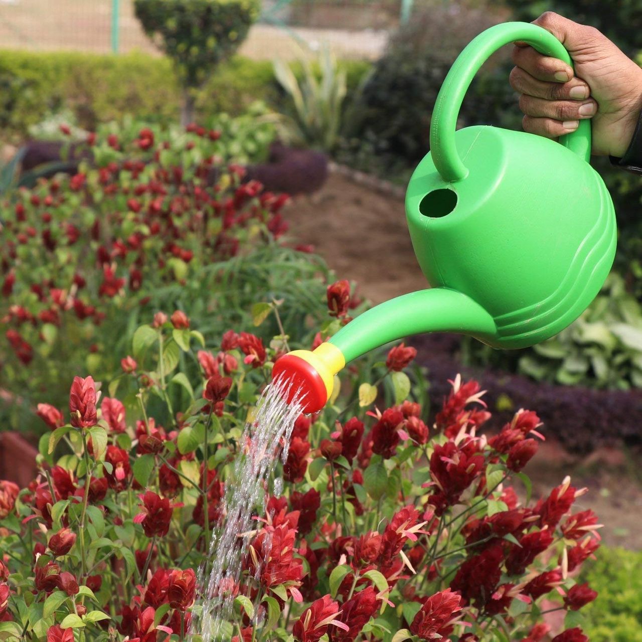 Go Hooked Plastic Plants Watering Can | Watering Can For House Plants