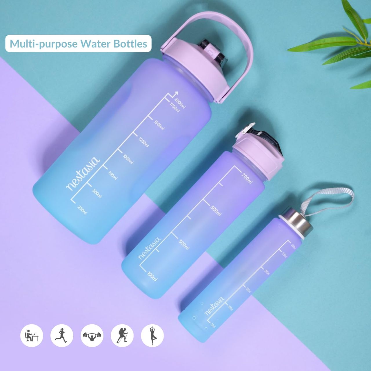 Nestasia Motivational Watter Bottles Green & Lavender - Set Of 3