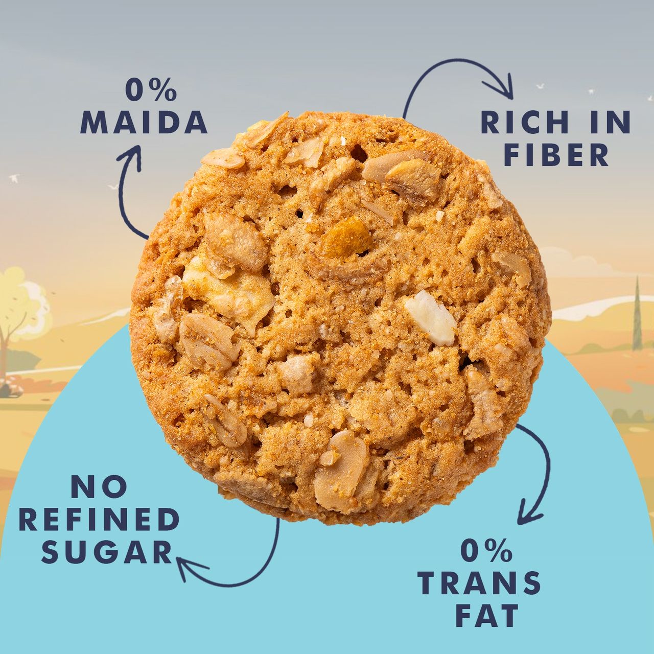 Unifit Muesli Cookies | Crunchy and Wholesome | High Protein and Fiber