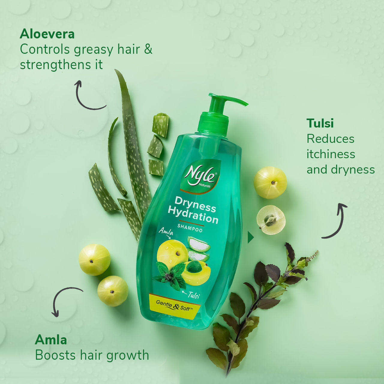 Nyle Naturals Silky And Smooth Anti Hairfall Shampoo With Goodness Of Tulsi And Amla
