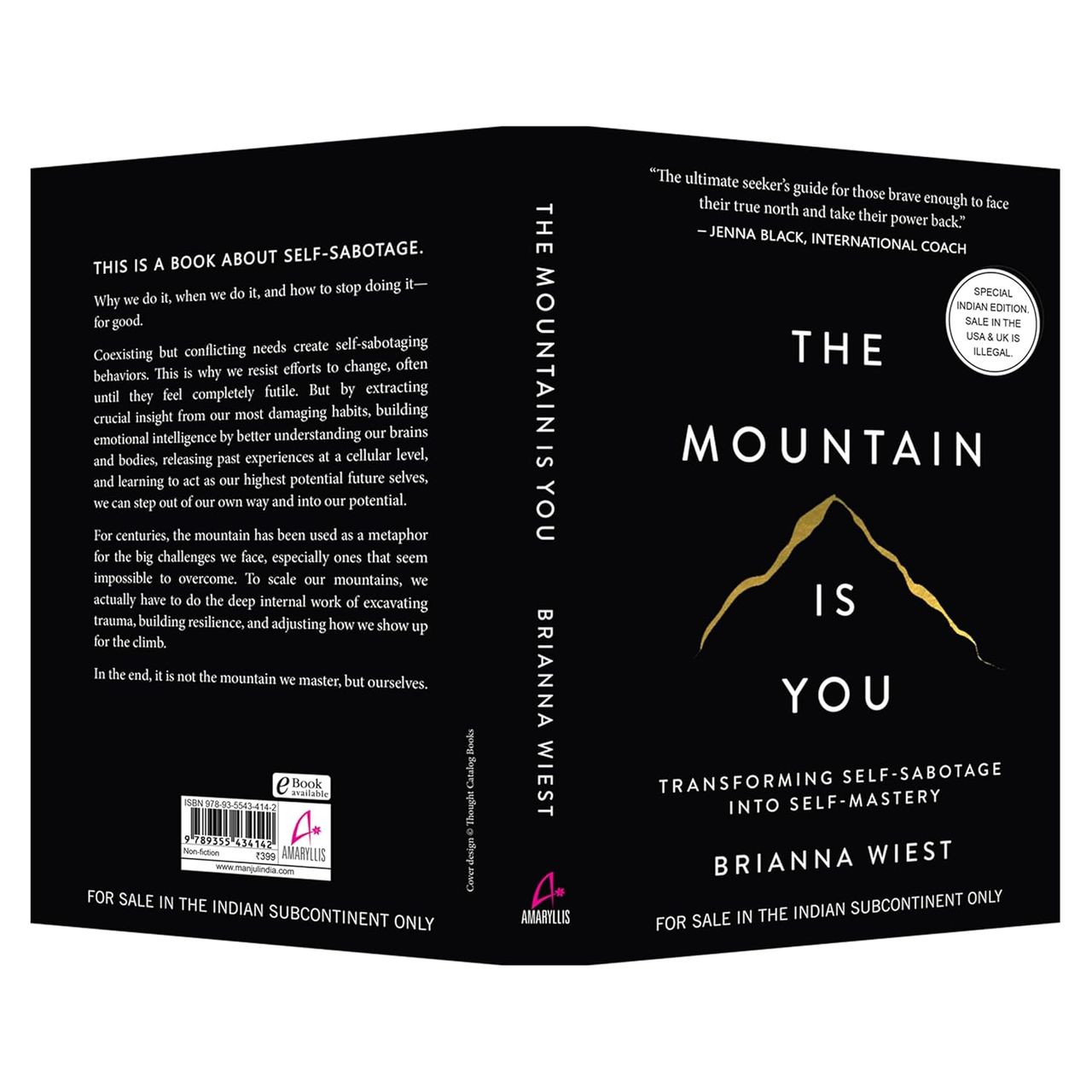 The Mountain Is You: Transforming Self-Sabotage Into Self-Mastery