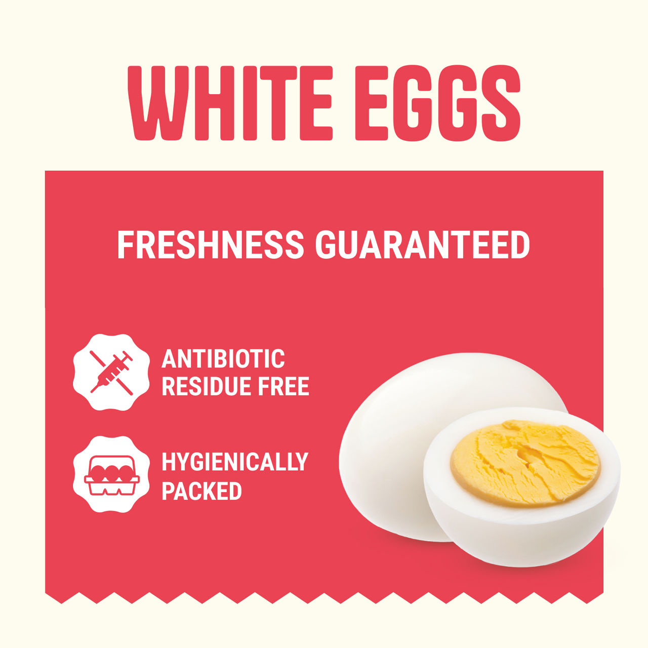 Lifelong Egg Boiler 360-Watt (Transparent And Silver Grey)(1pc) & Relish White Eggs(10pc) Combo