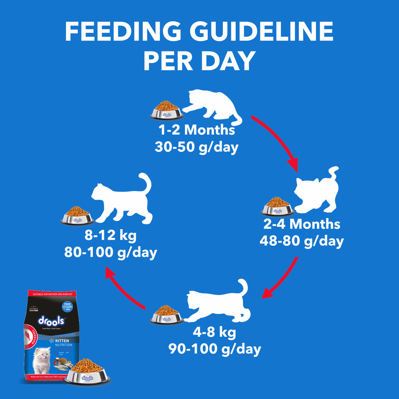 Drools Kitten (1-12 Months) Dry Cat Food, Mackerl, With Free Container