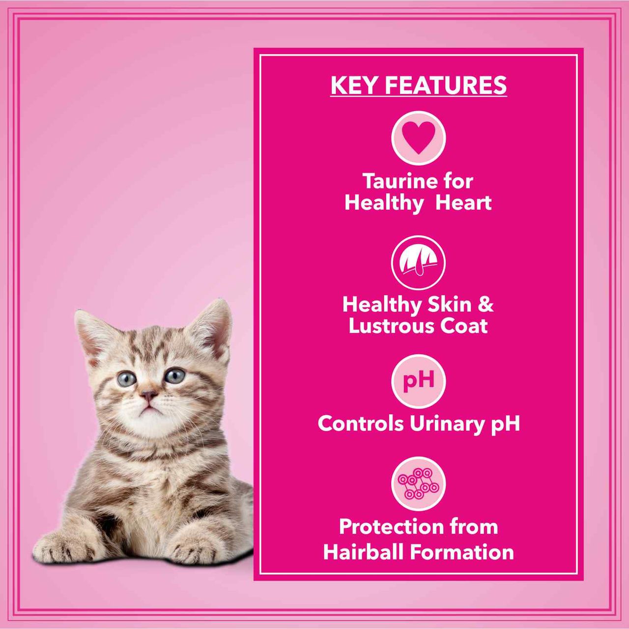 Let's Bite Active Kitten Dry Cat Food (Buy 1 Get 1 Free)
