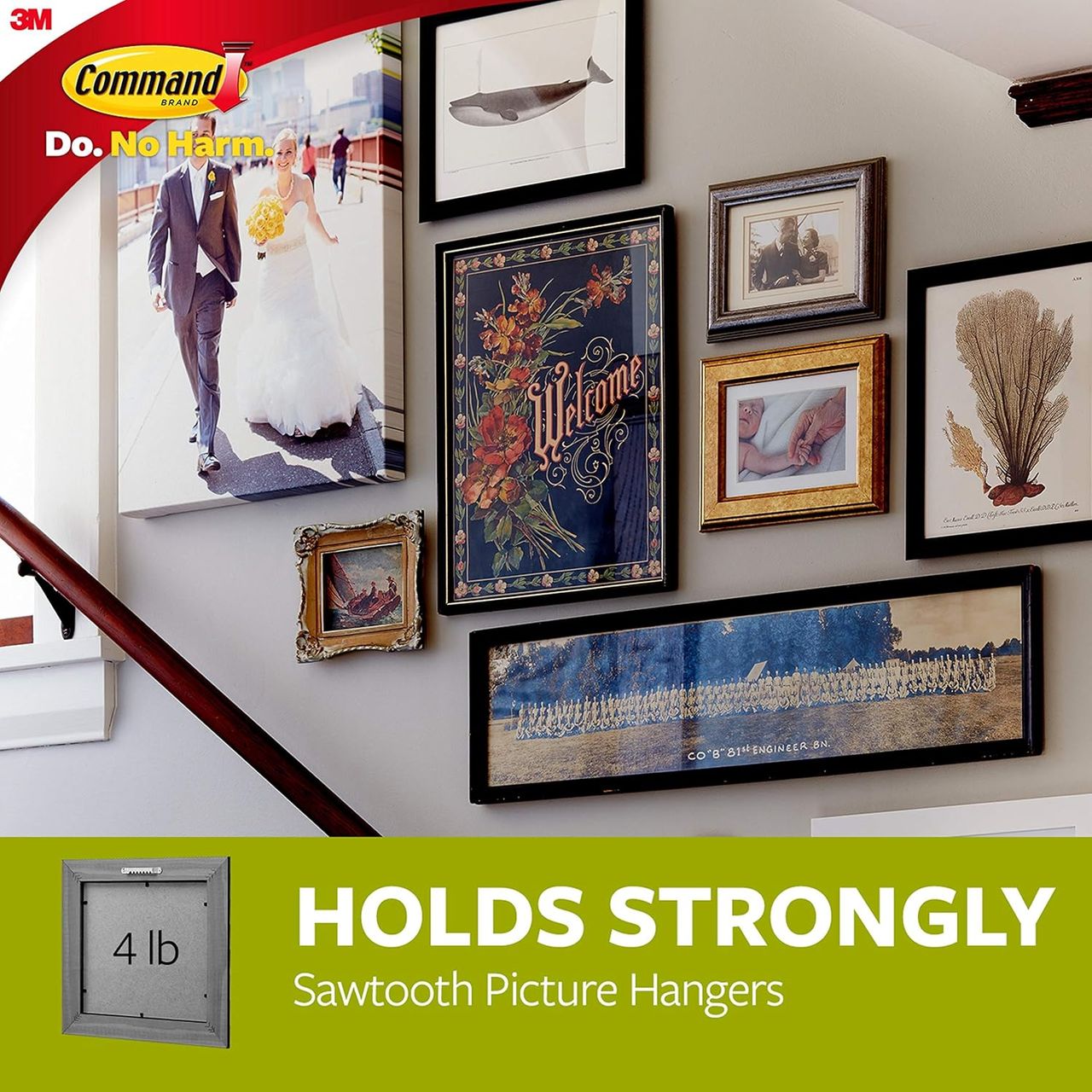 Command Saw Tooth Plastic Picture Hanger| Pack of 1 Hanger and 2 Strips| Holds Upto 1.8 kg