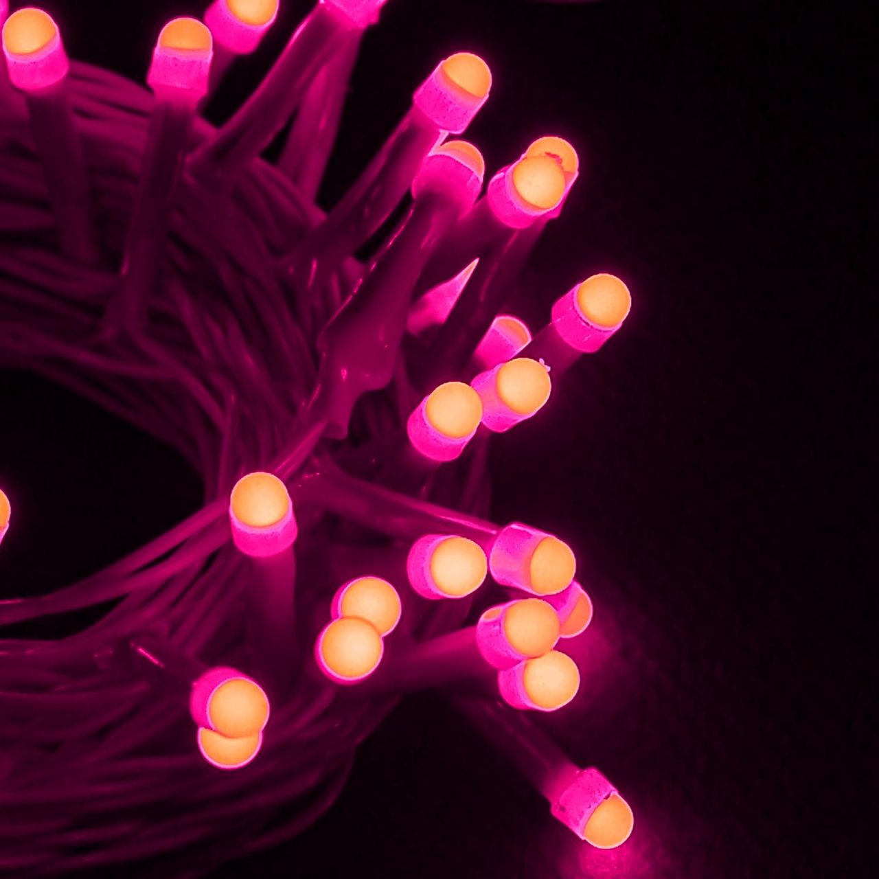 Lexton 36 Feet Long 40 LED Power Pixel Serial String/Fairy Light Plug Sourced Pack of 1 Pink