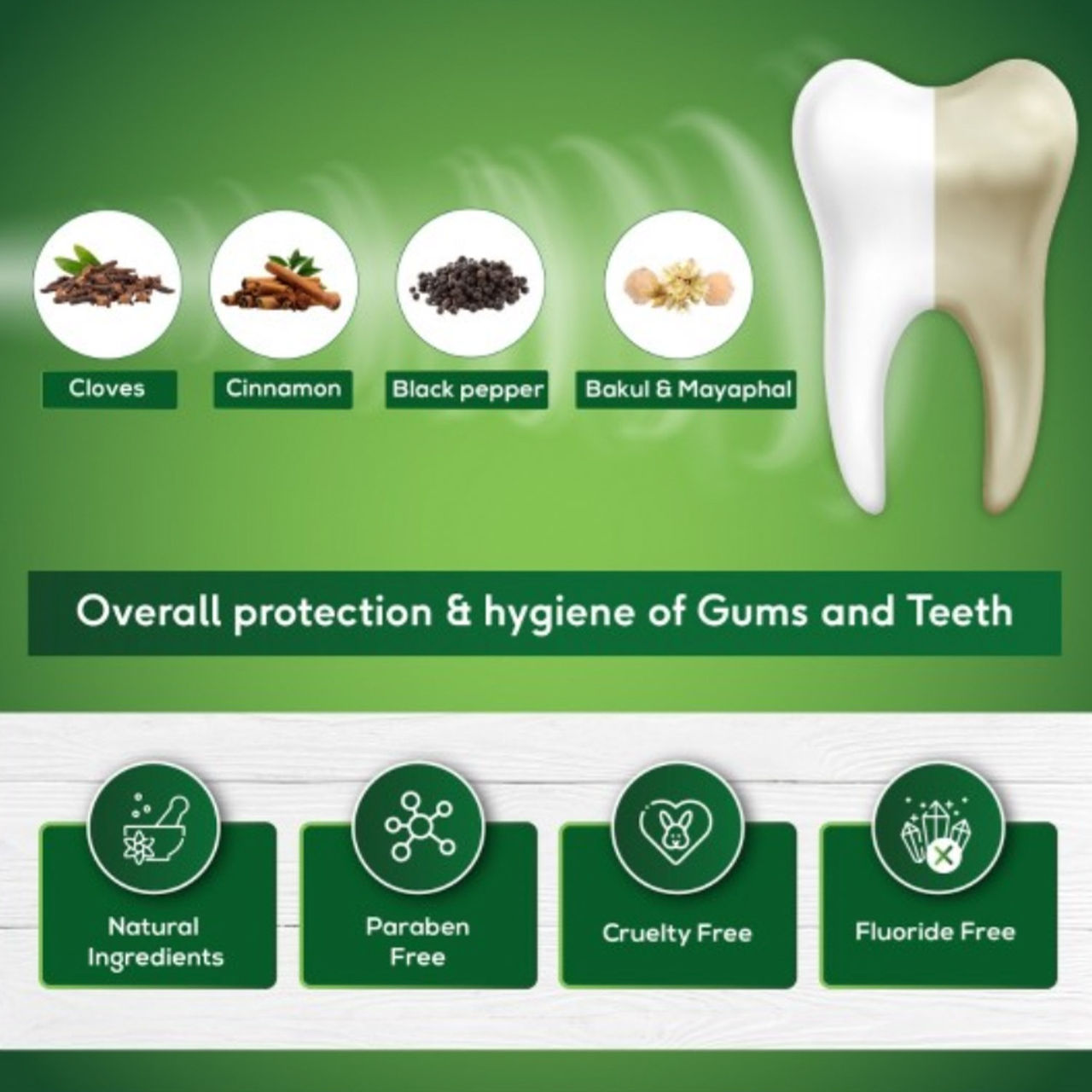Sri Sri Tattva Sudanta paste Tooth Paste 200g