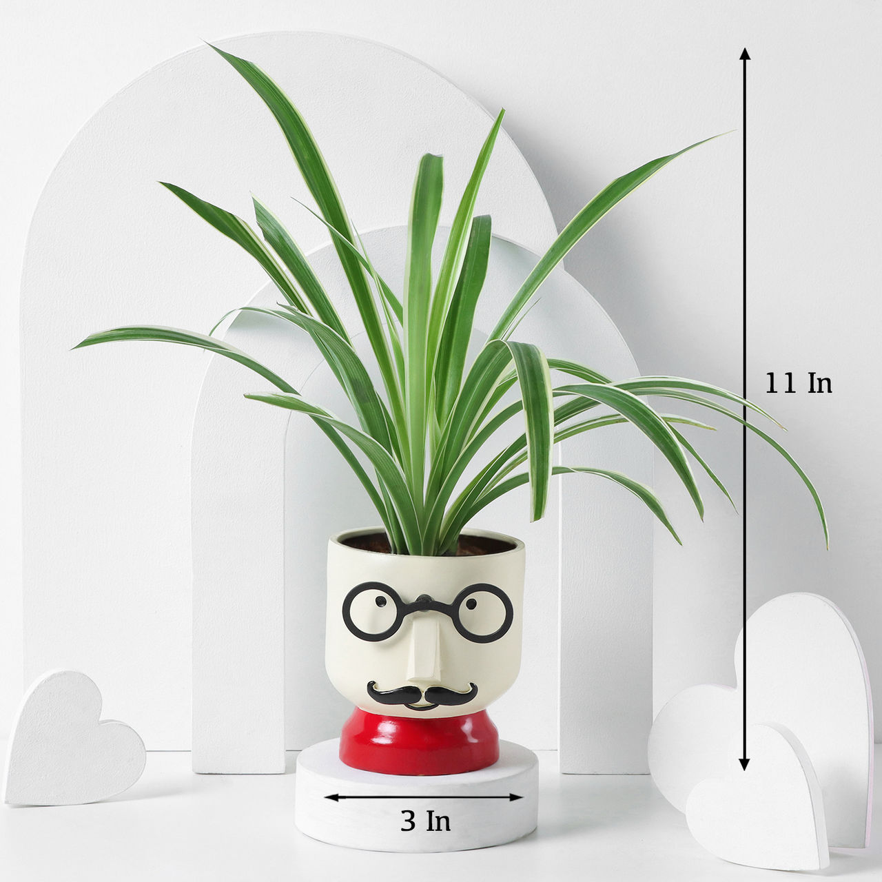 FNP Spider Plant with Boy Planter