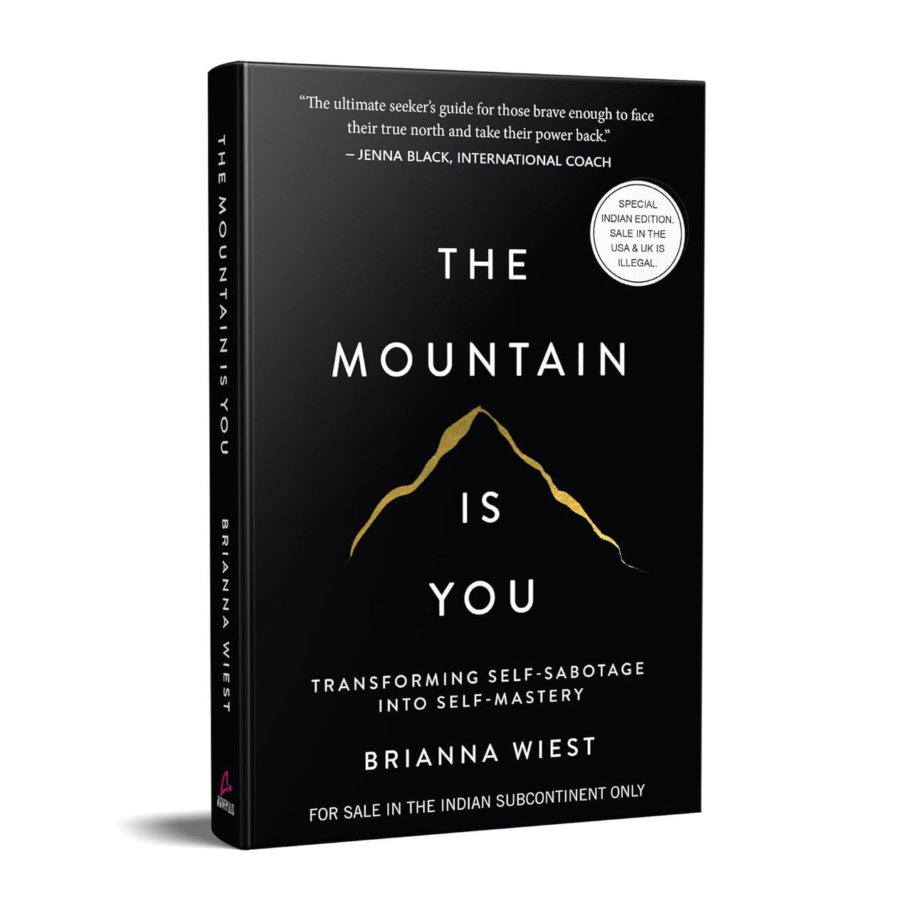 The Mountain Is You: Transforming Self-Sabotage Into Self-Mastery