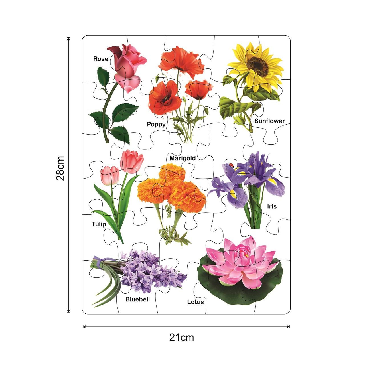 Ratna's Knowledge Bank Jigsaw-Ii