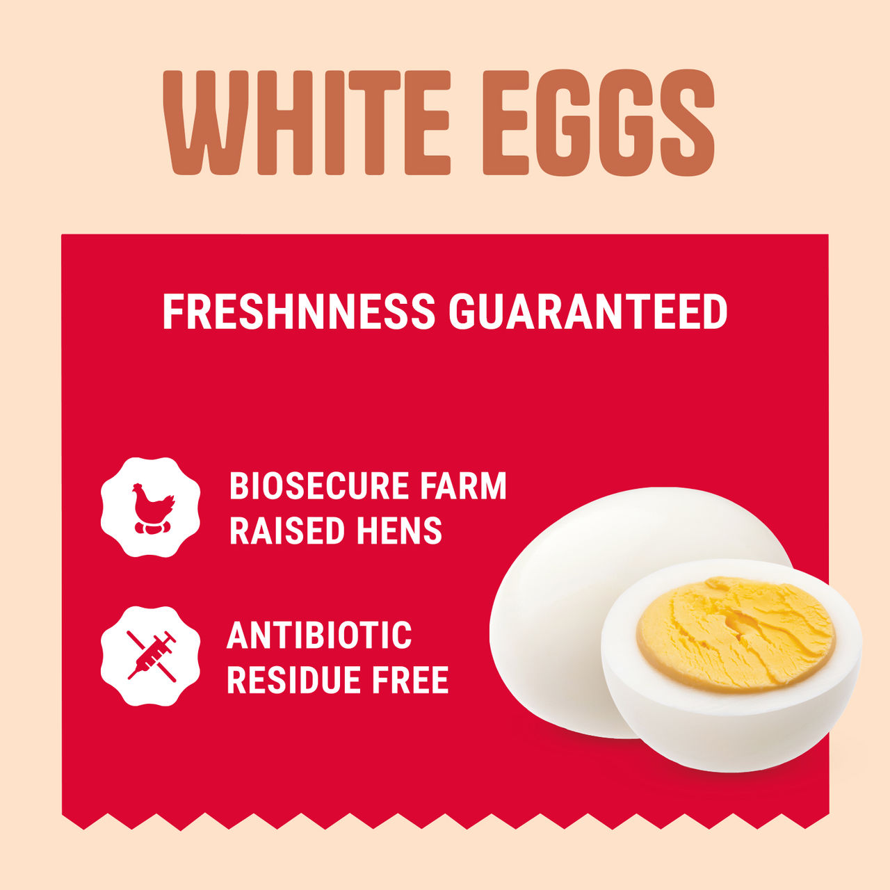 Relish White Eggs - (Pack of 6) 6 pc X 5 Combo
