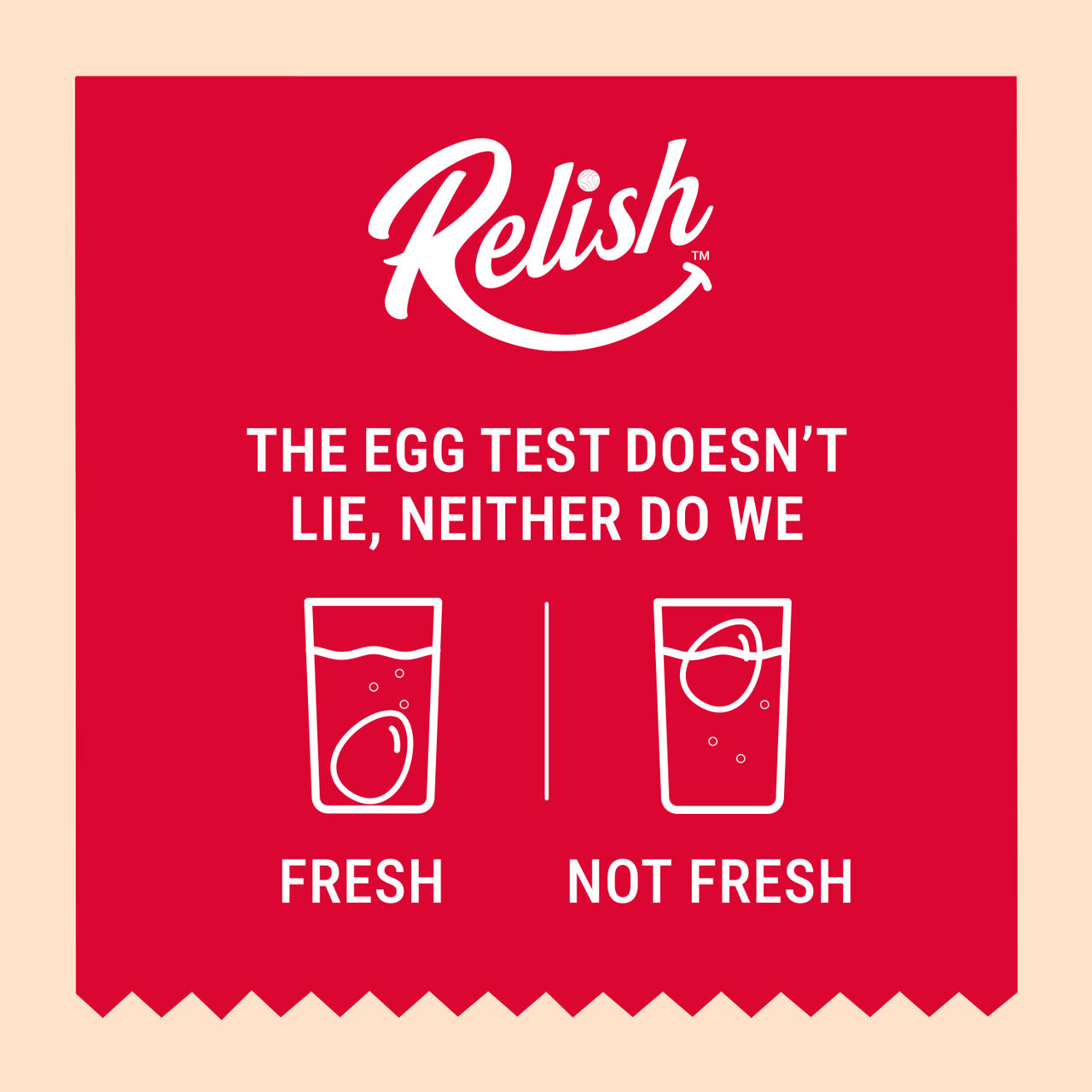 Relish White Eggs - (Pack of 6) 6 pc X 5 Combo