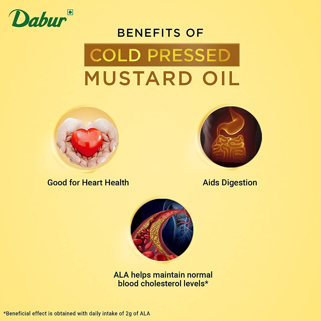 Dabur Cold Pressed Mustard Oil 1 l Combo